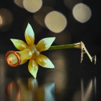 MORAWSKI ORNAMENT
