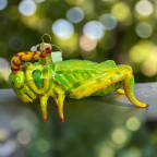 MORAWSKI ORNAMENT